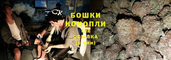 бошки Аркадак