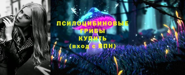 бошки Аркадак