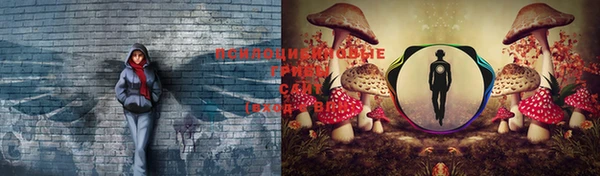 бошки Аркадак